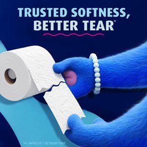 Charmin Ultra Soft Toilet Paper 12 Super Mega Rolls, 336 Sheets Per Roll